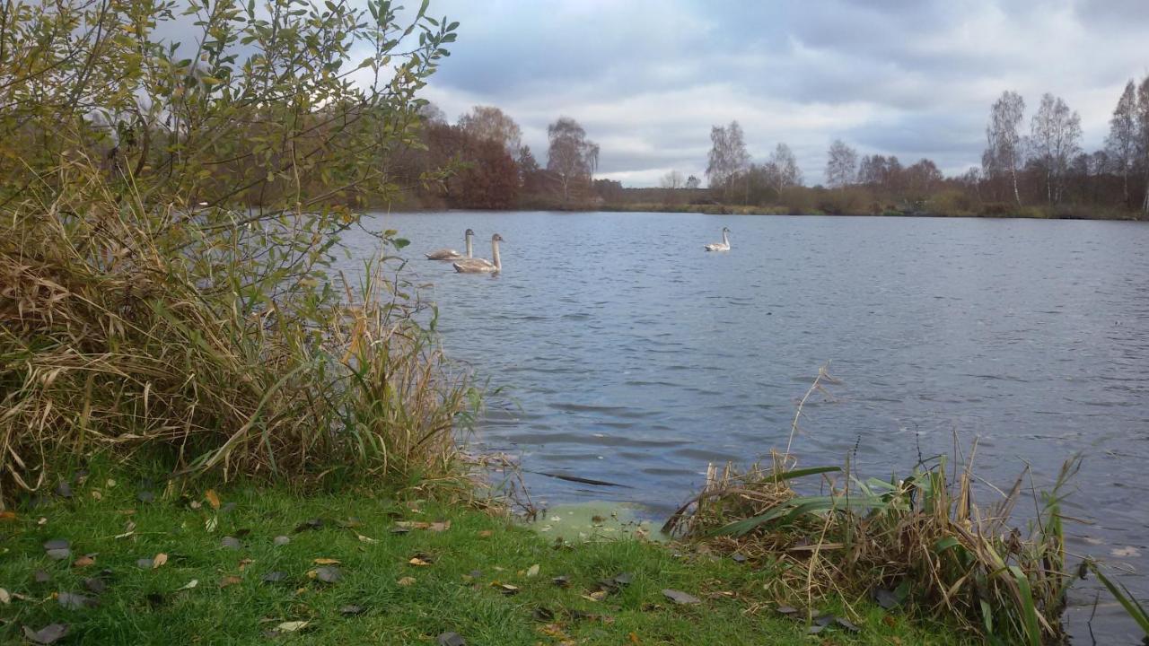 Wohnung Am Wald Witzeeze Exteriör bild